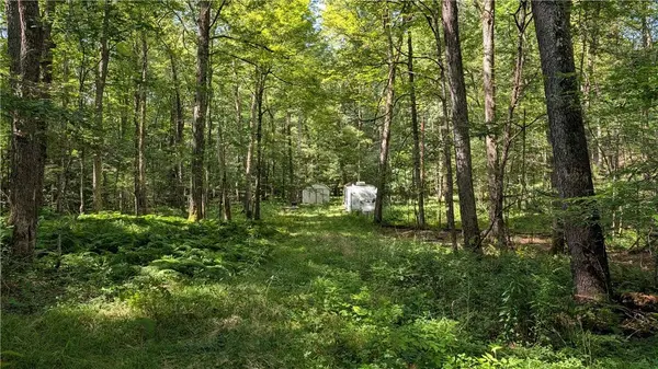 1245 Quaker Hill RD, Jefferson, NY 12093