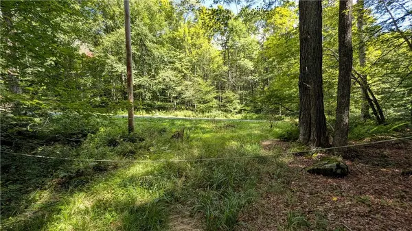 1245 Quaker Hill RD, Jefferson, NY 12093