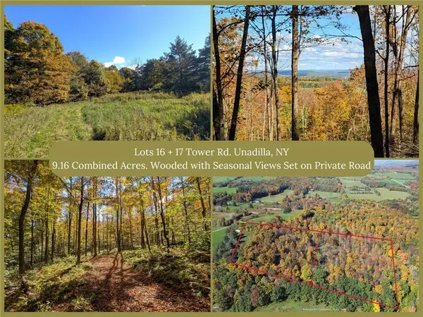 Lot 16 + 17 Tower RD
