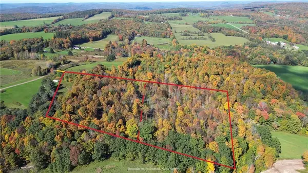 Lot 16 + 17 Tower RD, Unadilla, NY 13849