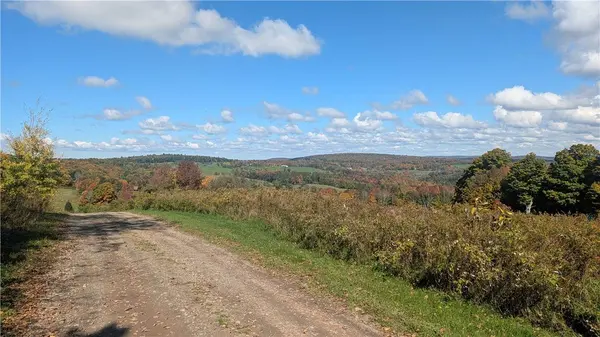 Lot 16 + 17 Tower RD, Unadilla, NY 13849