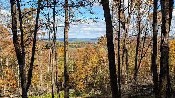 Lot 16 + 17 Tower RD, Unadilla, NY 13849