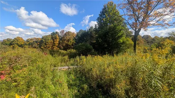 Lot 16 + 17 Tower RD, Unadilla, NY 13849