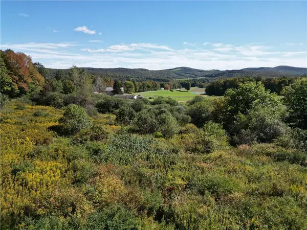 Lot 31.02 Peeters RD, Schenevus, NY 12155