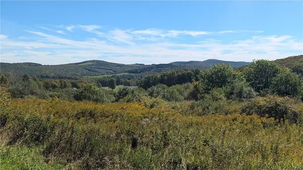Lot 31.02 Peeters RD, Schenevus, NY 12155