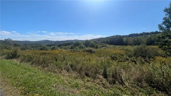 Lot 31.02 Peeters RD, Schenevus, NY 12155