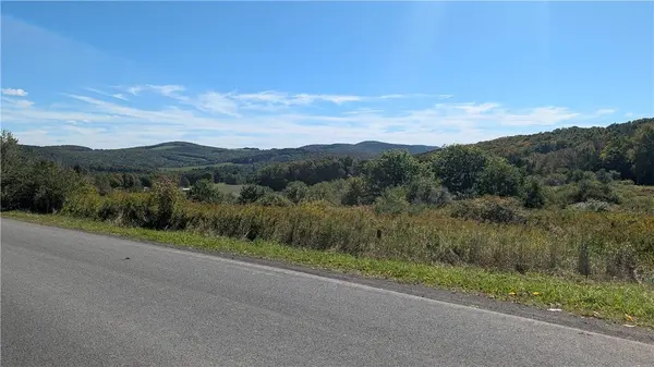Lot 31.02 Peeters RD, Schenevus, NY 12155