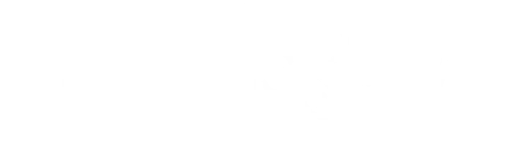 Biggins_and_Co_Logo_White_1