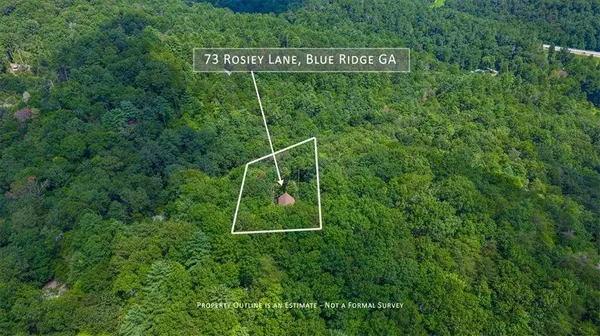 73 Rosiey LN, Blue Ridge, GA 30513