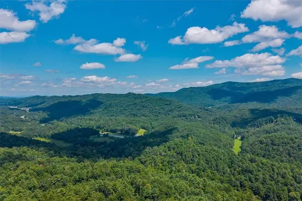 73 Rosiey LN, Blue Ridge, GA 30513