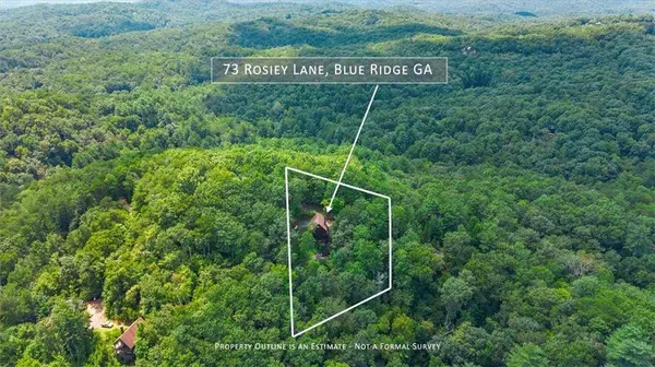 73 Rosiey LN, Blue Ridge, GA 30513