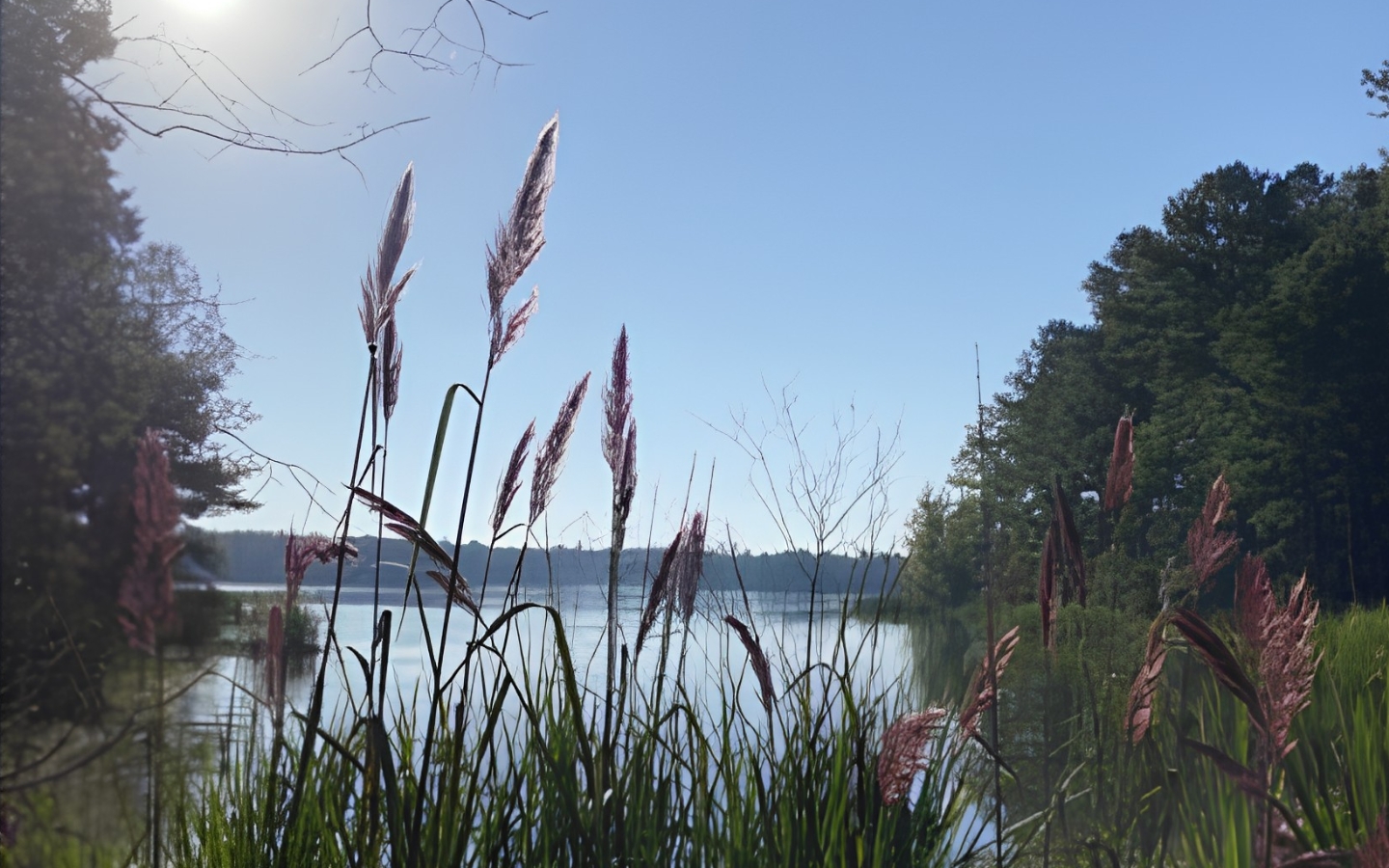 Harris Lake near New Hill, North Carolina