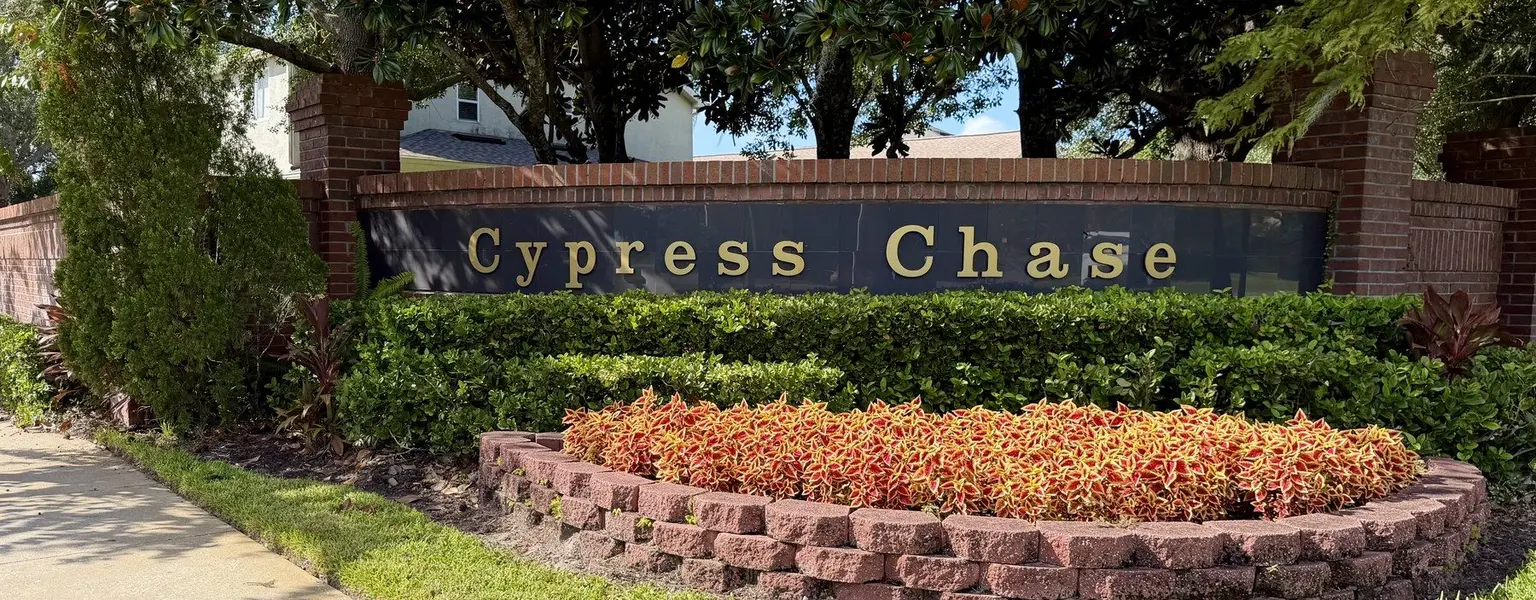 Cypress Chase