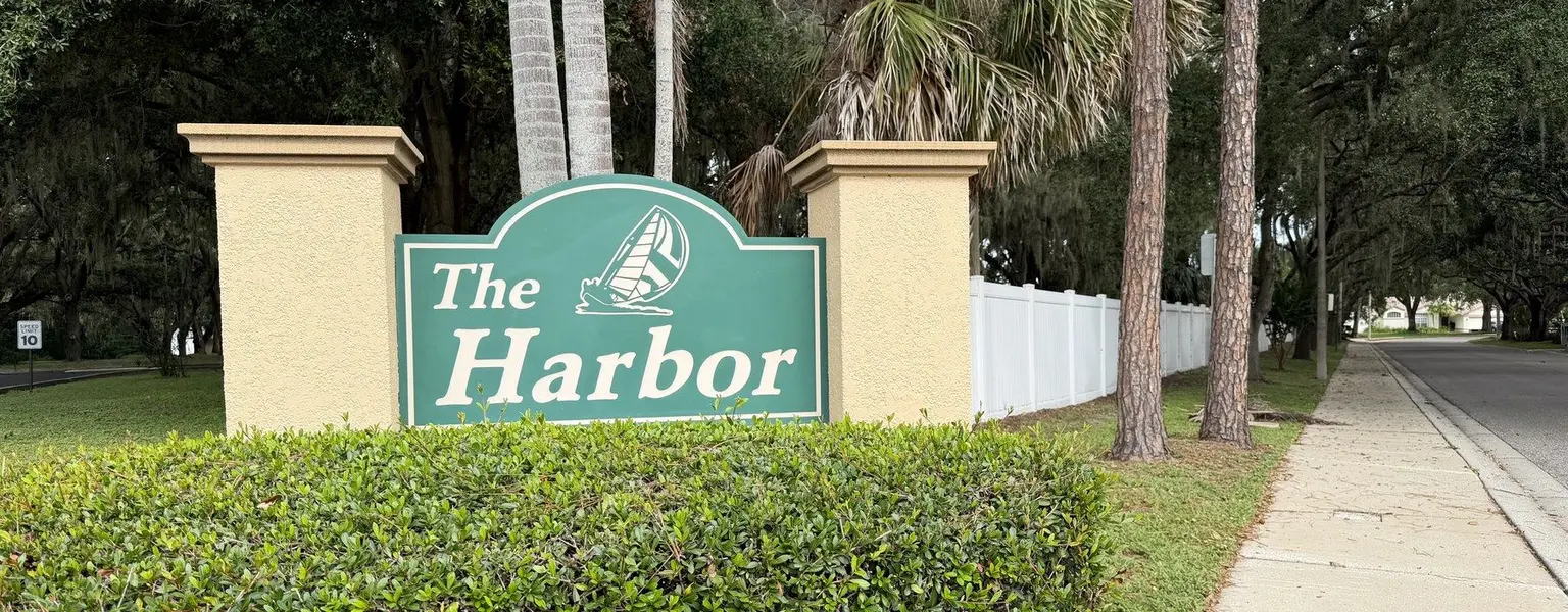 The Harbor