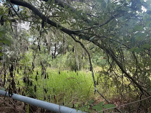4447 EDWARDS RD, Plant City, FL 33567