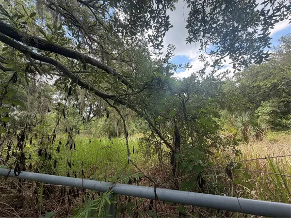 4447 EDWARDS RD, Plant City, FL 33567
