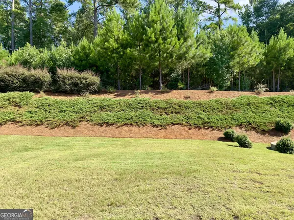 313 Duplin DR, Griffin, GA 30223