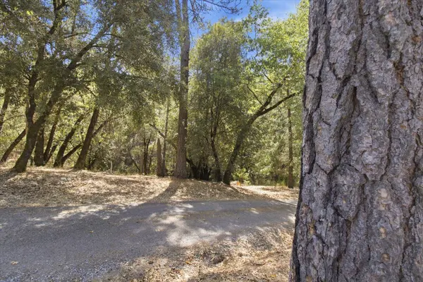4971 Atlas LN, Garden Valley, CA 95633