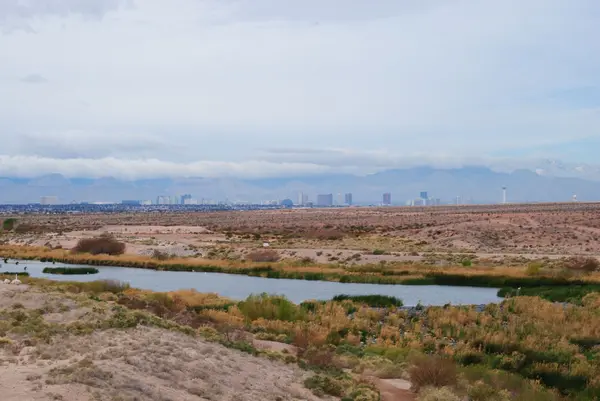 feature image of Living in Henderson, NV: Pros, Cons & What to Know Before Moving