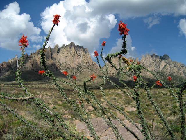 images-2