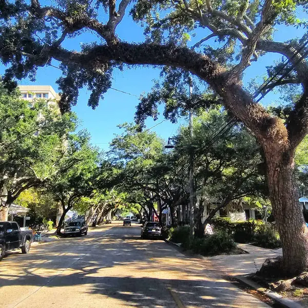 Ocean Springs