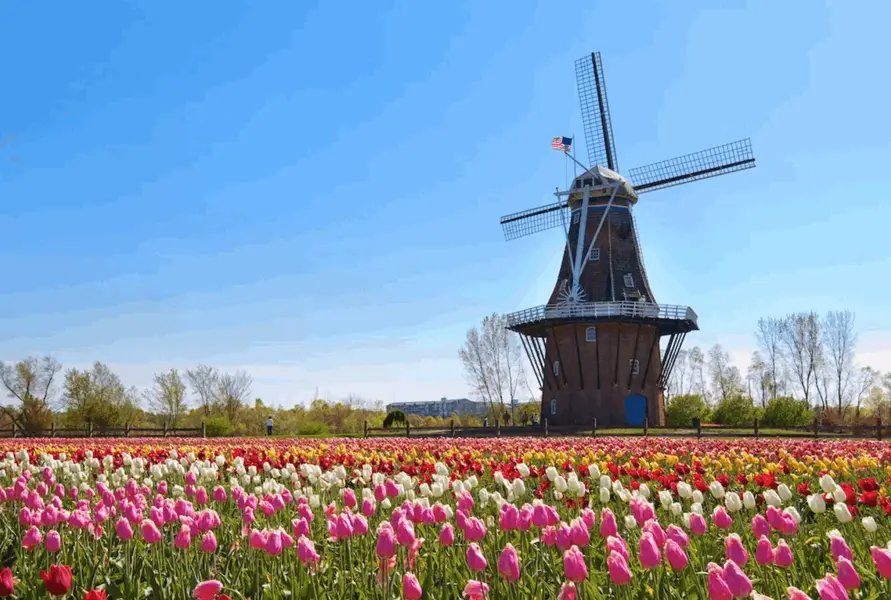 Holland
