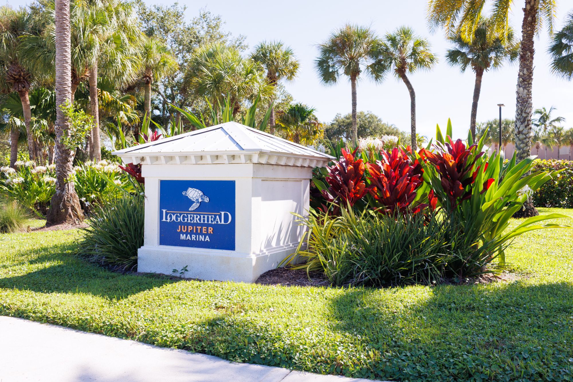Loggerhead Jupiter Marina