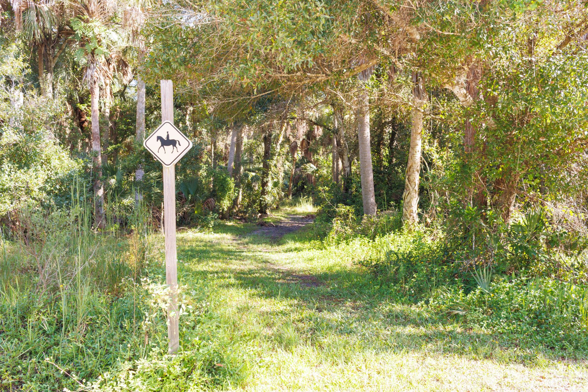Natural landscape representing outdoor recreation near Juno Beach
