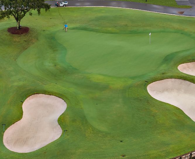 Scenic green golf course