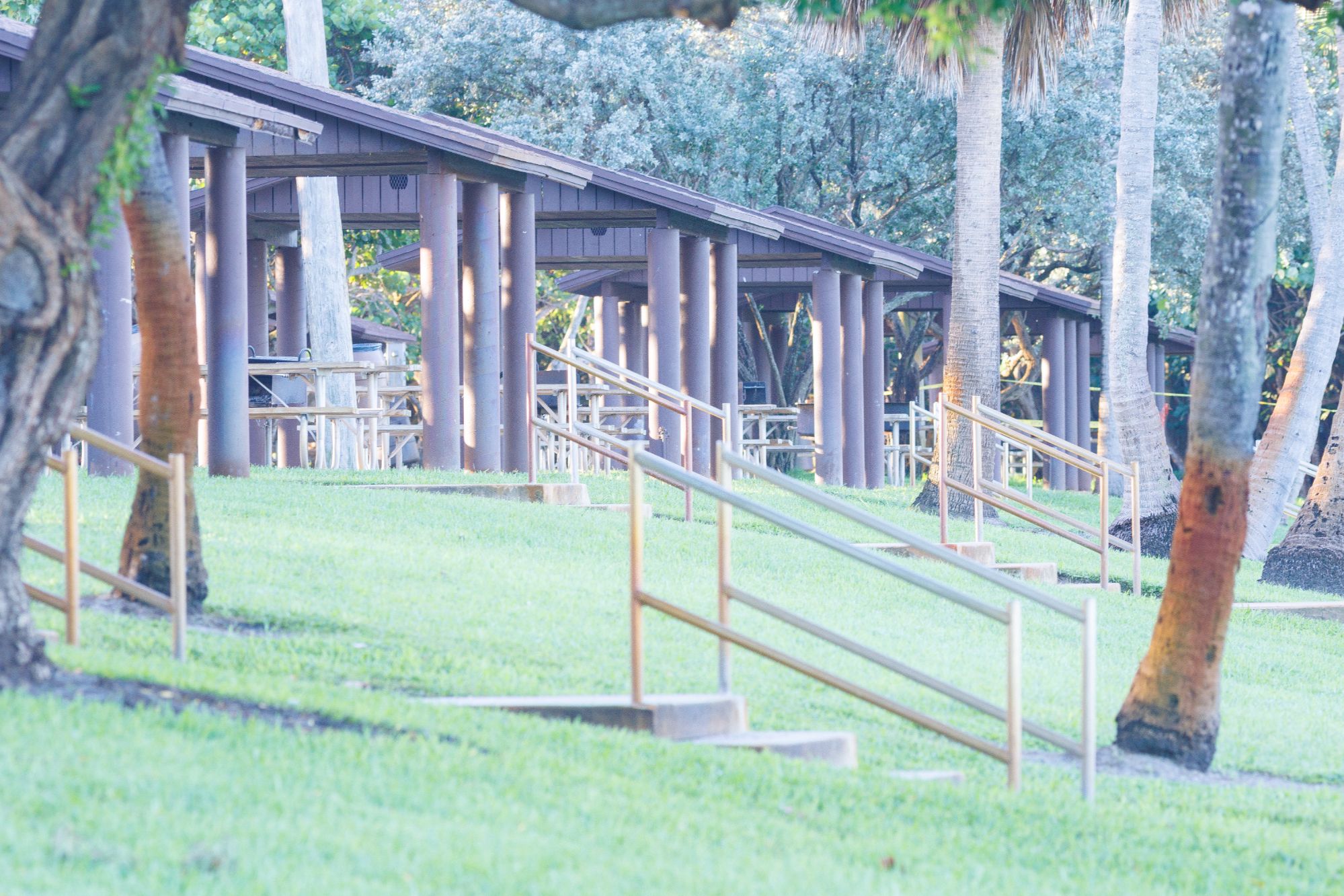 Natural green landscape and outdoor recreation setting