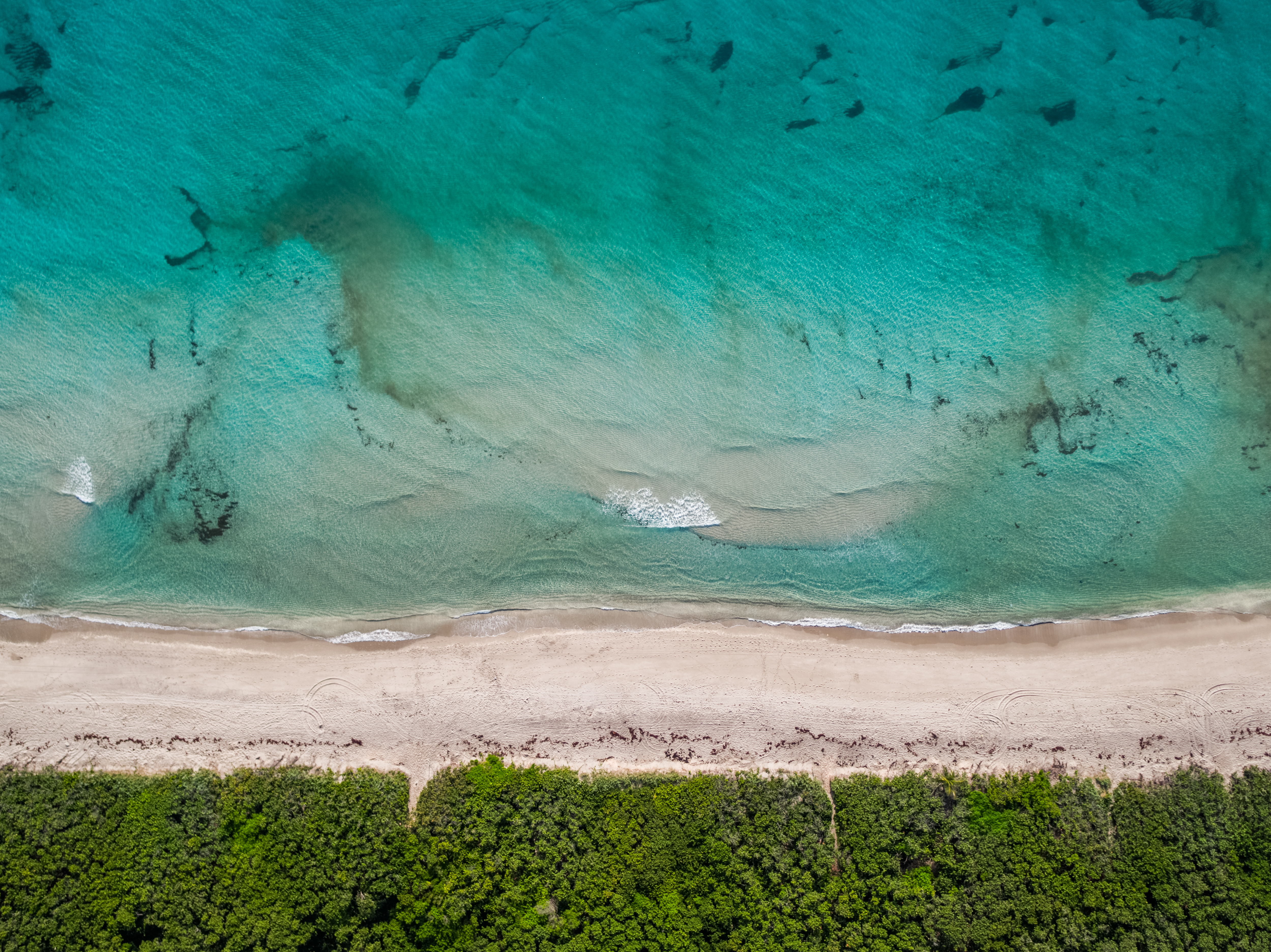 Sandy beach and ocean representing Juno Beach coastal living