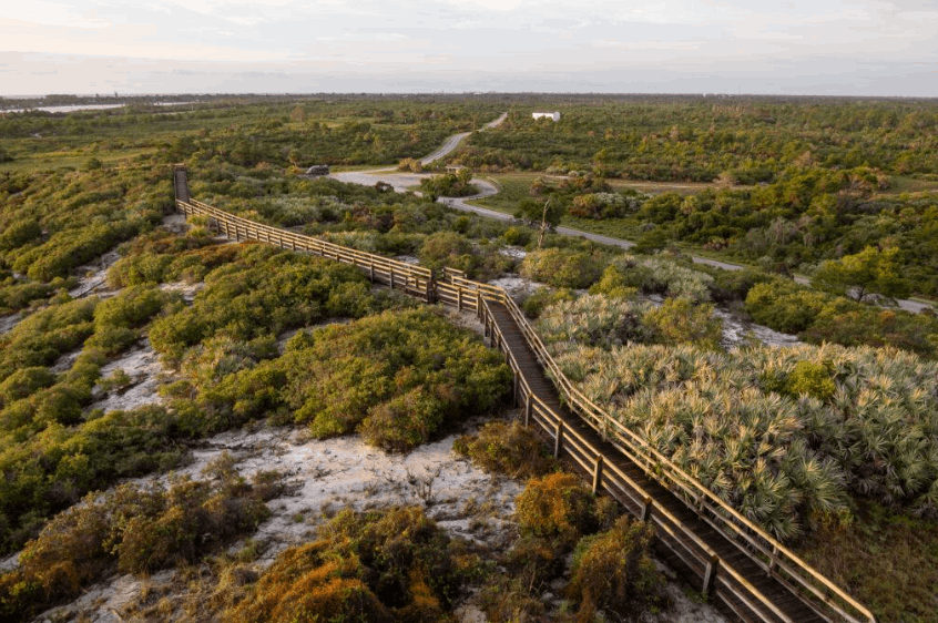 Hiking in a Florida state park