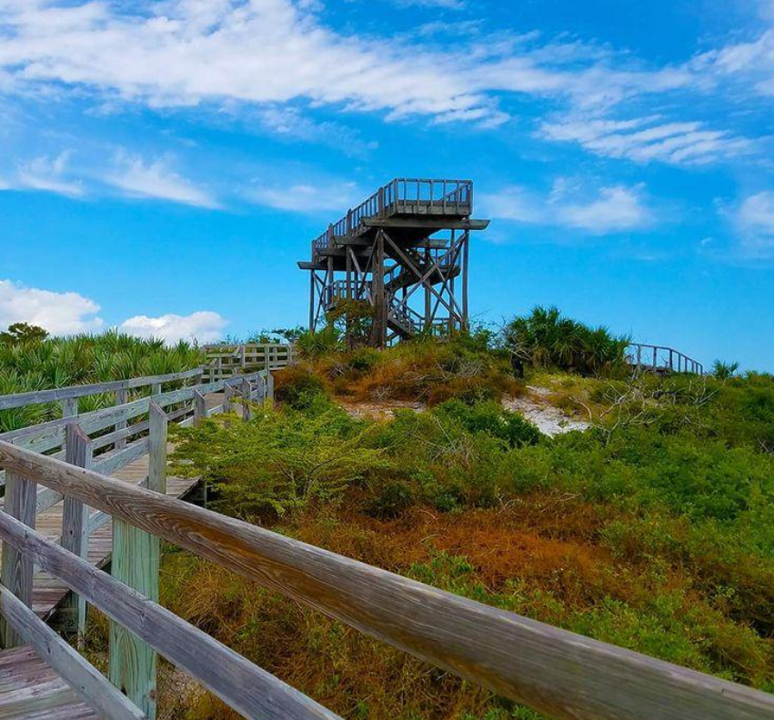 Jonathan Dickinson style Florida wilderness