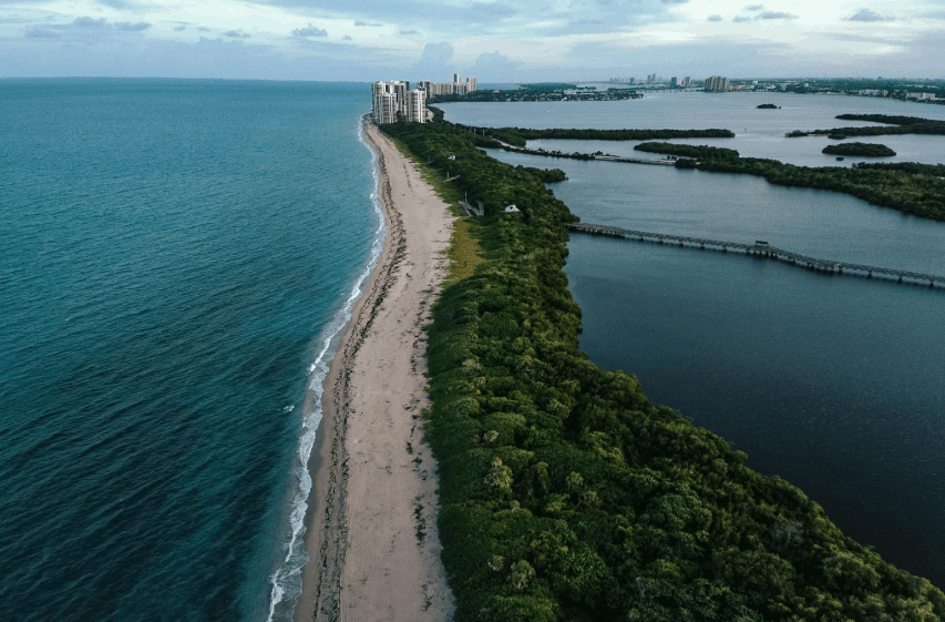 Natural Florida shoreline