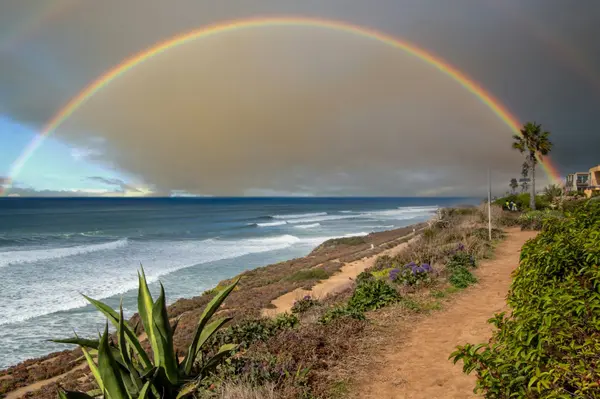 feature image of Living in Del Mar, CA: A Local Guide to an Iconic Beach Town