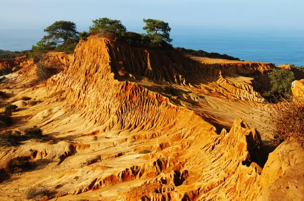 Torrey Pines coastal cliffs in San Diego