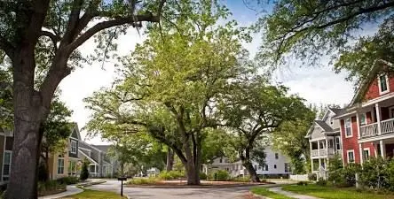 Discovering Oak Terrace Preserve: Park Circle’s Eco-Friendly, Walkable Haven in North Charleston,Billy Simons