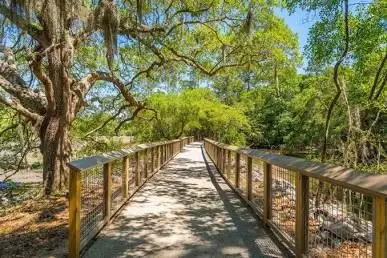 Discovering Old Towne Creek County Park: West Ashley’s Hidden Gem in Charleston, SC