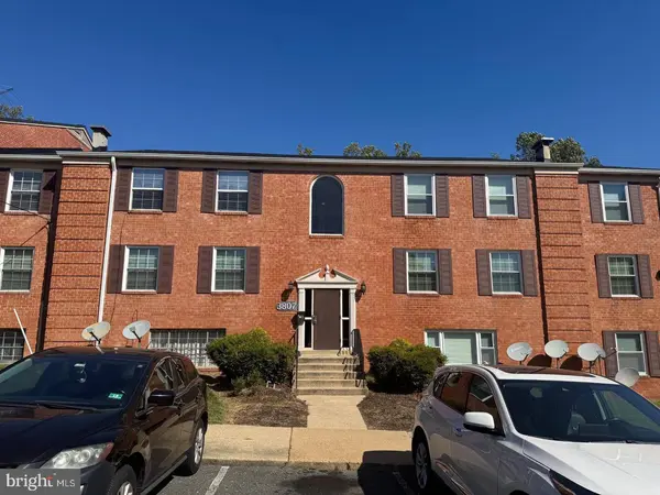 3807 SWANN RD #101