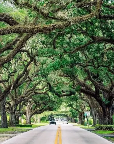 Coral Gables