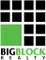 big-block-portrait