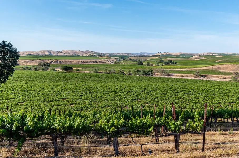 Paso Robles
