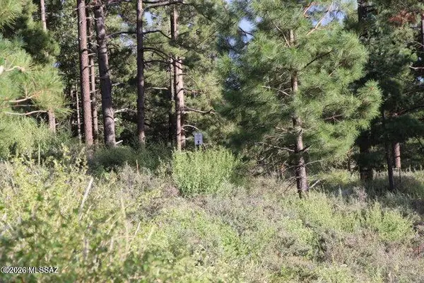 12718 N Upper Loma Linda Rd #40, Mt. Lemmon, AZ 85619