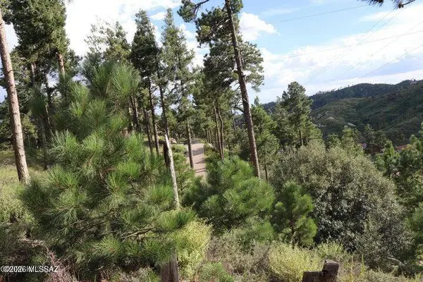 12718 N Upper Loma Linda Rd #40, Mt. Lemmon, AZ 85619