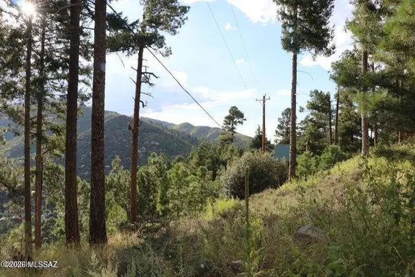 12718 N Upper Loma Linda Rd #40, Mt. Lemmon, AZ 85619