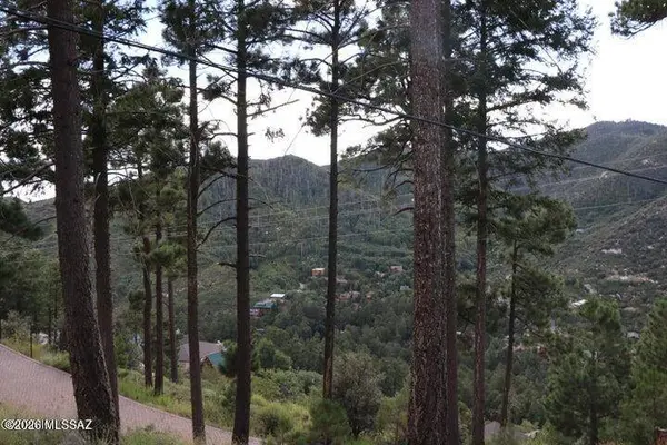 12718 N Upper Loma Linda Rd #40, Mt. Lemmon, AZ 85619