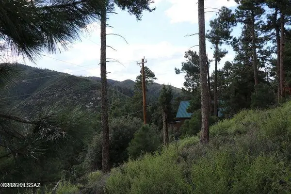 12718 N Upper Loma Linda Rd #40, Mt. Lemmon, AZ 85619