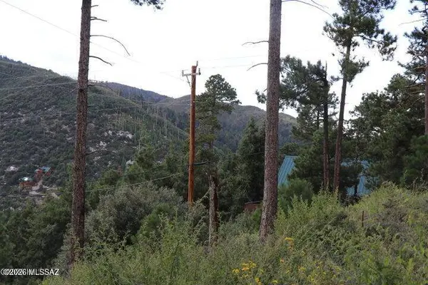 12718 N Upper Loma Linda Rd #40, Mt. Lemmon, AZ 85619