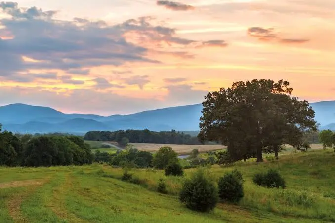 Earlysville