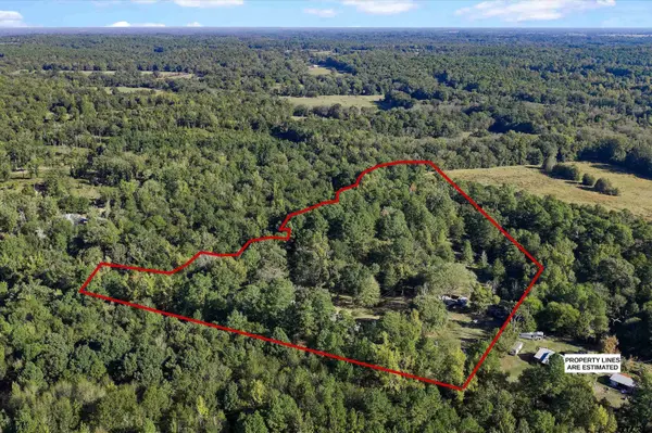 252 County Road 4560, Winnsboro, TX 75494